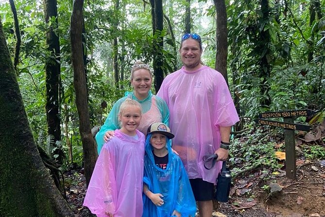 Blue River Waterfall and Rainforest Full Day Tour - What to Expect