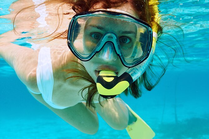 Boat Dive and Snorkeling Experience in Aqaba - Rave Reviews