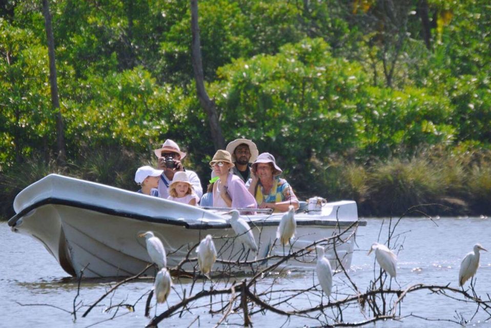 Boat Riding in Negombo - Witnessing Wildlife