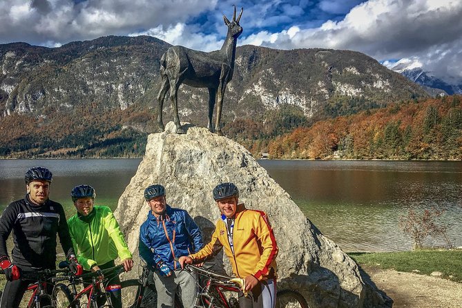 Bohinj Valley Bike Adventure - Accessibility and Confirmation