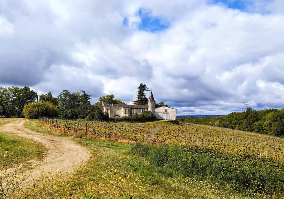 Bordeaux Countryside & Vineyards by Gravel Bike - Participant Requirements