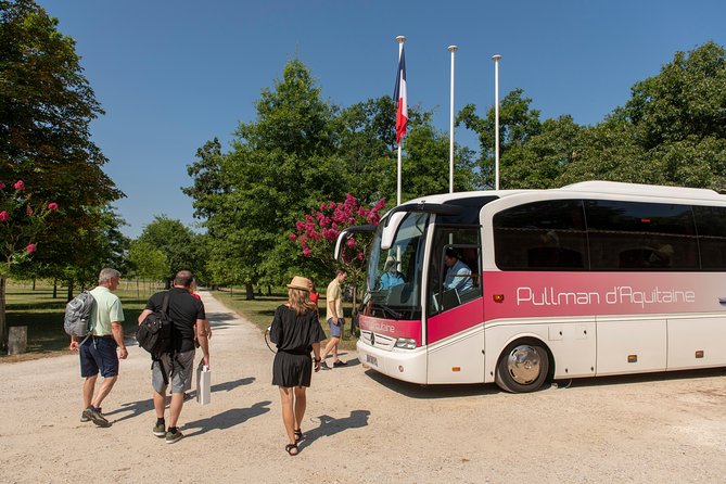 Bordeaux Vineyards Wine Tasting Half-Day Trip - Professional Guide and Language