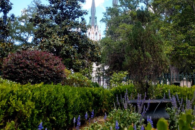 Botanical Tour (by Walk With Me Savannah Tours) - Accessibility and Participation