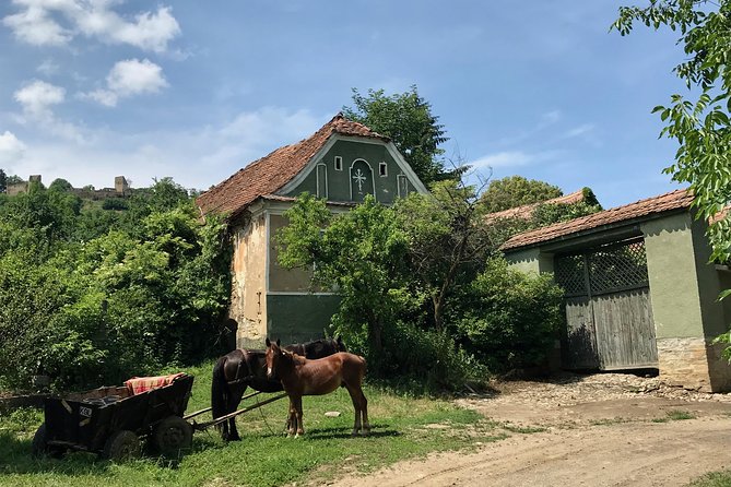 Bran and Rasnov Castles Tour From Brasov - Logistics
