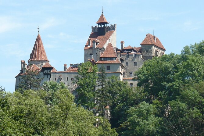 Bran Castle and More Options Tour From Brasov - Transportation and Logistics