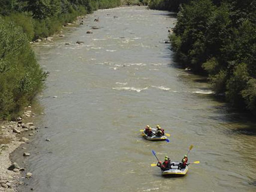 Brasov: Wild Water Rafting Day Trip - Trip Experience Highlights