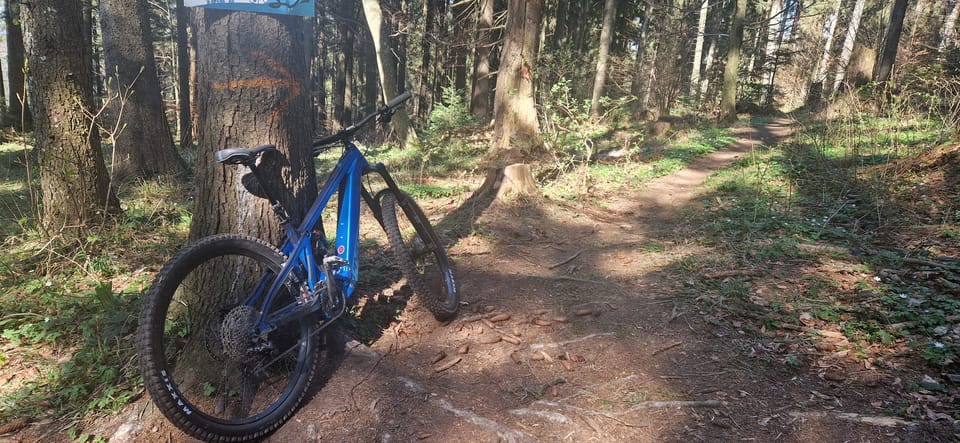 Brasov'S Mountain'S E-Mtb Tour With Daisy - Participant Requirements