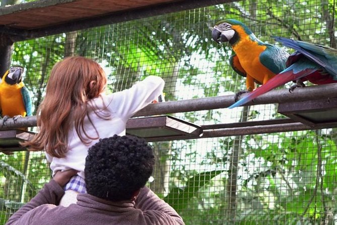 Brazilian Side Falls: Brazilian Falls Tour With Parque Das Aves: - Final Verdict On This Stay