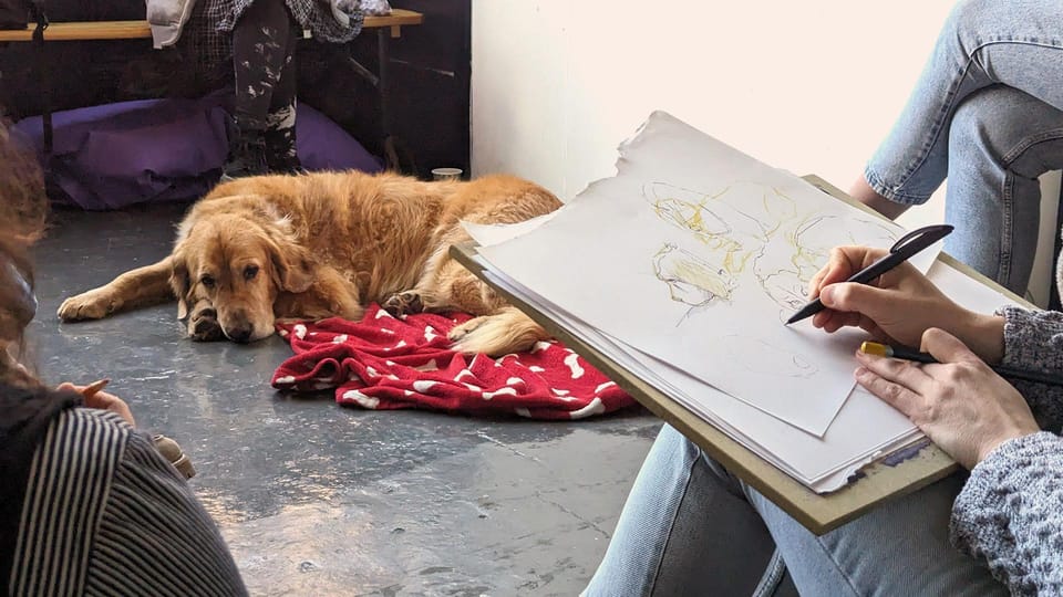 Bristol: Dog Life Drawing Led by Local Artist Cai Burton - Relaxed Atmosphere and Bonding Experiences