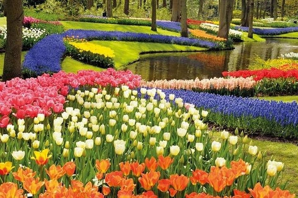 Brussels: Keukenhof, Tulips, and Delft Day Trip - Frequently Asked Questions