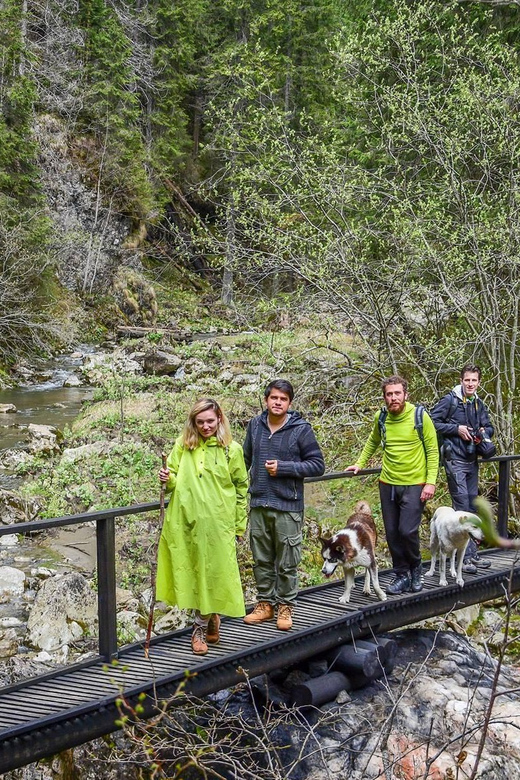 Bucegi Mountains: Private Hiking Day - Participation Restrictions