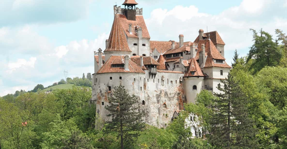 Bucharest: Dracula's Castle, Peleș Castle & Brașov Day Trip - Transportation Details