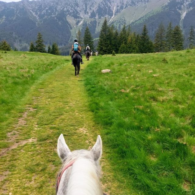 Bucharest: Horseback In the Nature and Traditional Lunch - Participant Information