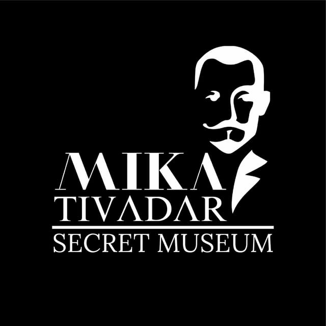 Budapest: Mika Tivadar Secret Museum Entry Ticket - Accessibility Considerations