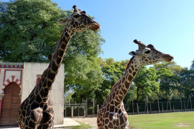 Buenos Aires: Temaiken Biopark Including Transfers - Guide and Educational Aspects