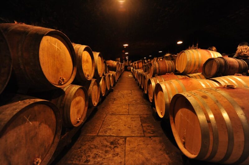 Burgundy Wines Full-Day Tasting Tour From Dijon - Transportation and Logistics