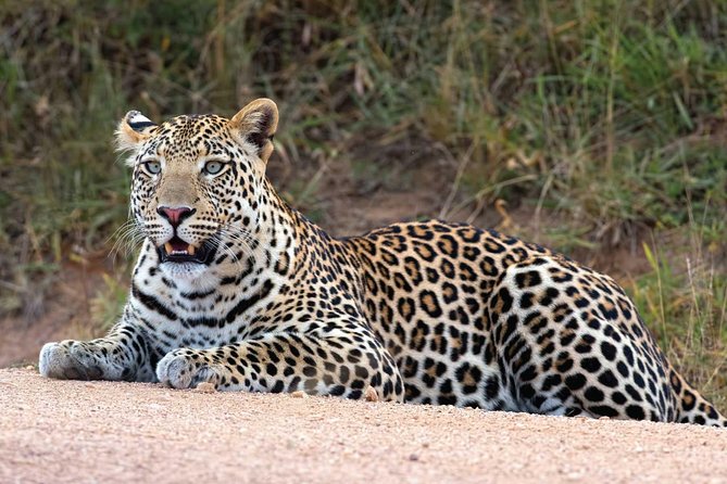 Bwindi Impenetrable Kenya Tanzania Gorilla Safari 14 Days 13 Nights - Accommodation and Meals
