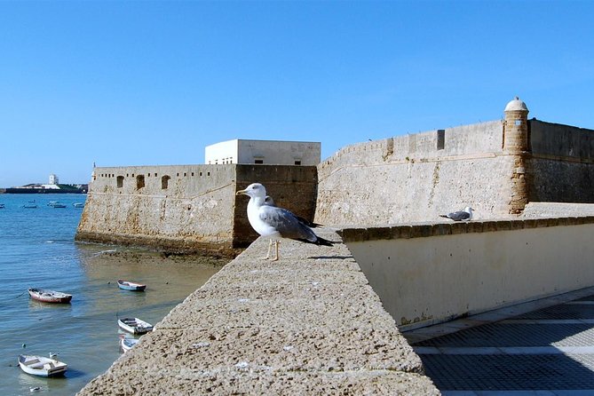Cadiz Private Walking Tour - Accessibility and Participation