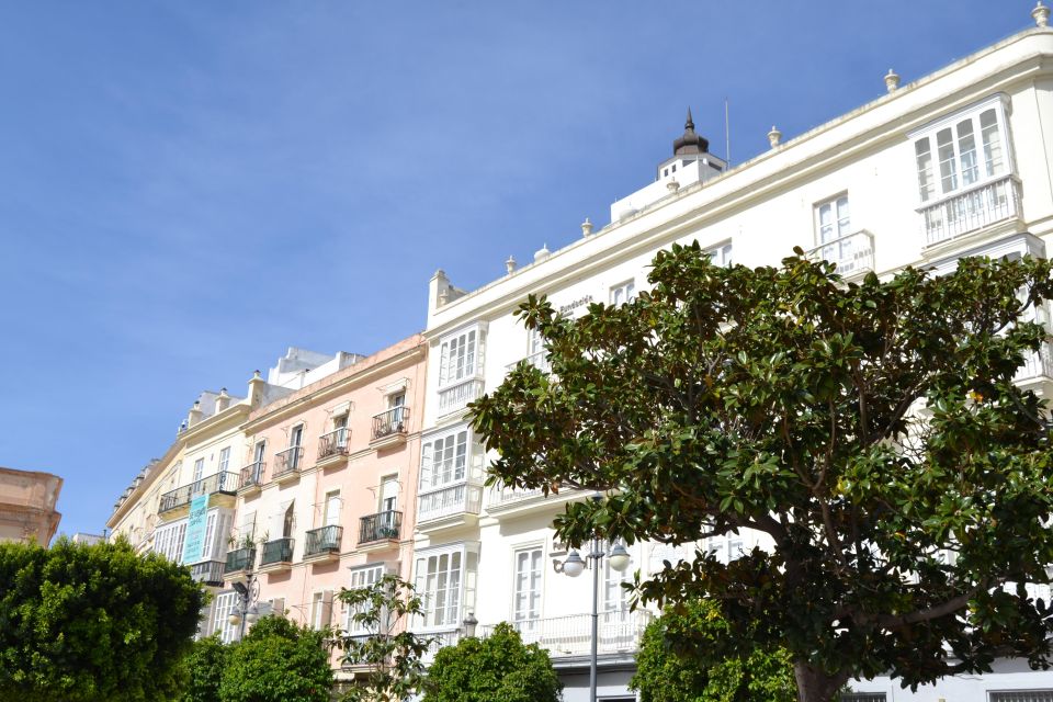 Cádiz: Walking Tour With Local Guide - Inclusions and Recommendations