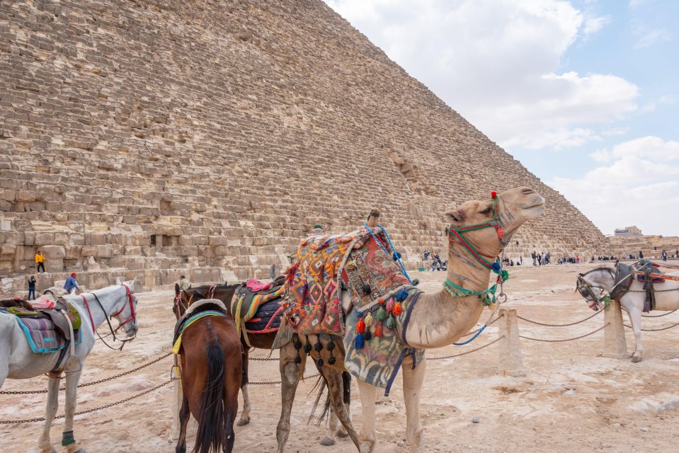 Cairo: Layover Tour With Pyramids, Museum, and Dinner Cruise - Egyptian Museum Experience