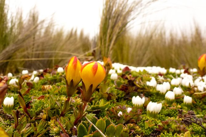 Cajas NP Hiking & Thermal Baths From Cuenca - Pickup and Drop-off Details