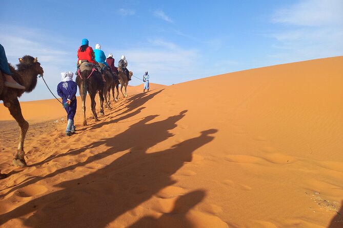Camel Ride in Erg Chebbi Desert, 1 Night in Berber Private Tent - What to Expect