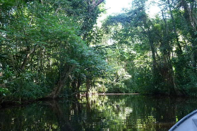 Canoe Tour in Tortuguero National Park - Traveler Recommendations