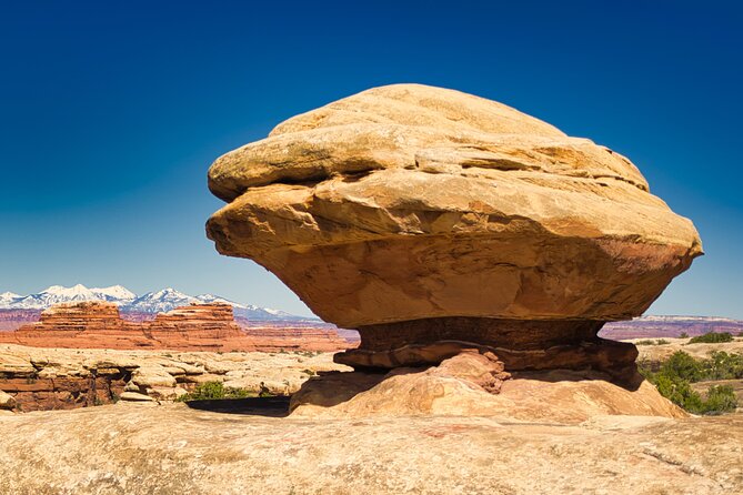 Canyonlands National Park Backcountry Tour - Traveler Reviews