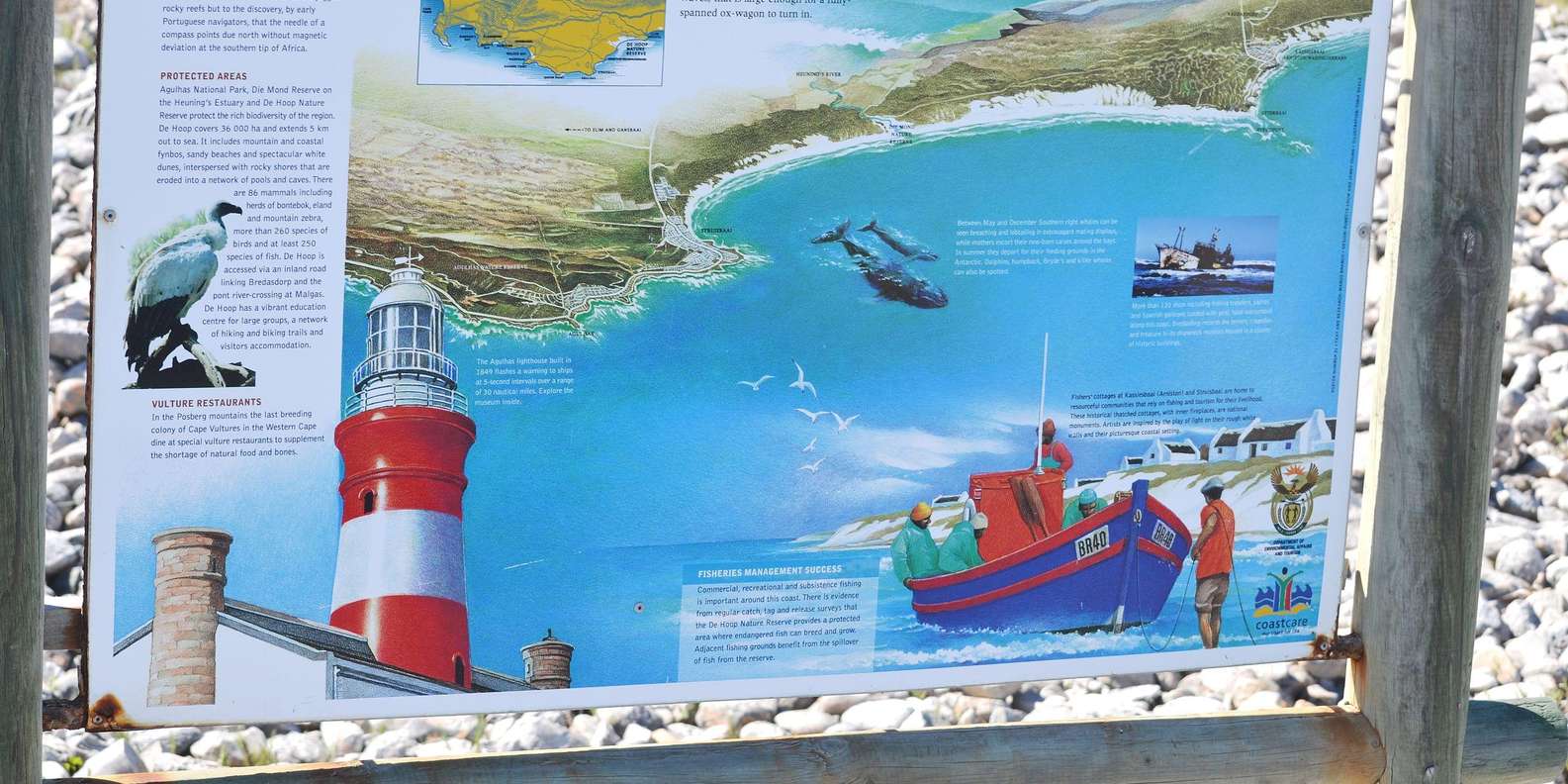 Cape Agulhas Tour: Private Day Trip! - Inclusions and Transportation