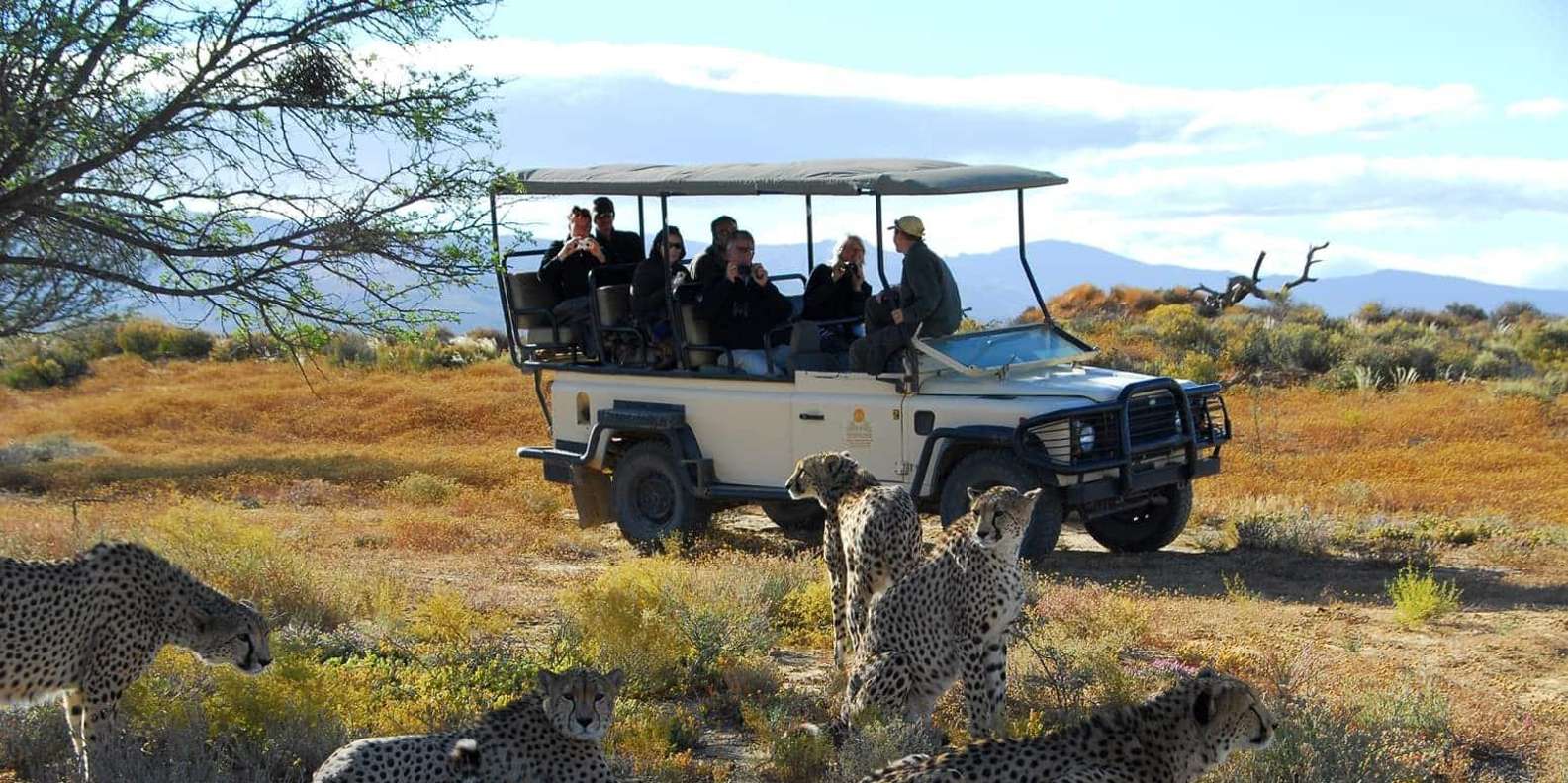 Cape Town: Big Five Safari Tour With Breakfast and Lunch - Dining Experiences