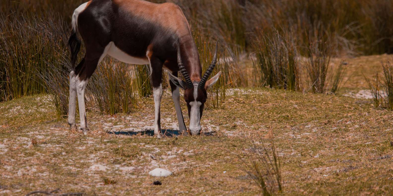 Cape Town: Cape Winelands Guided Hiking Tours - Inclusions and Exclusions