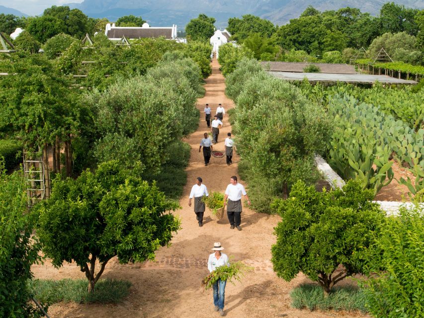 Cape Town: Half-Day Wineries and Tastings Small Group Tour - Babylonstoren Estate