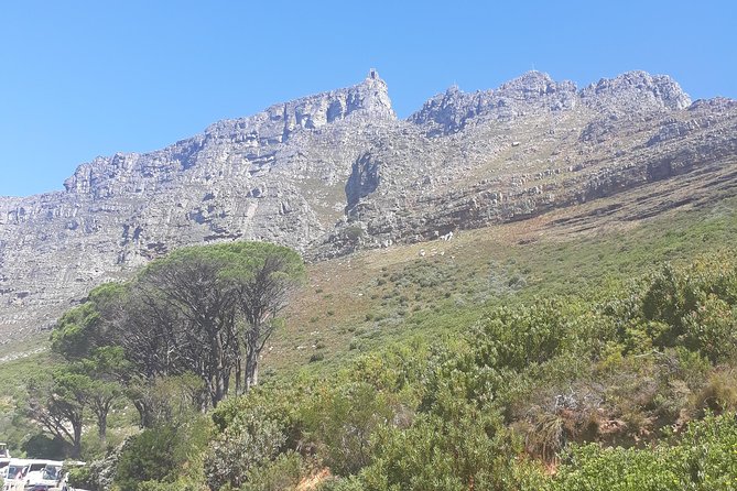 Cape Town Halfday City and Table Mountain Tour - Notable Guides