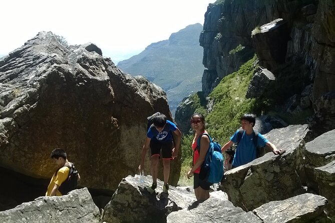 Cape Town: Platteklip Gorge Half-Day Hike on Table Mountain - Pickup and Meeting Information