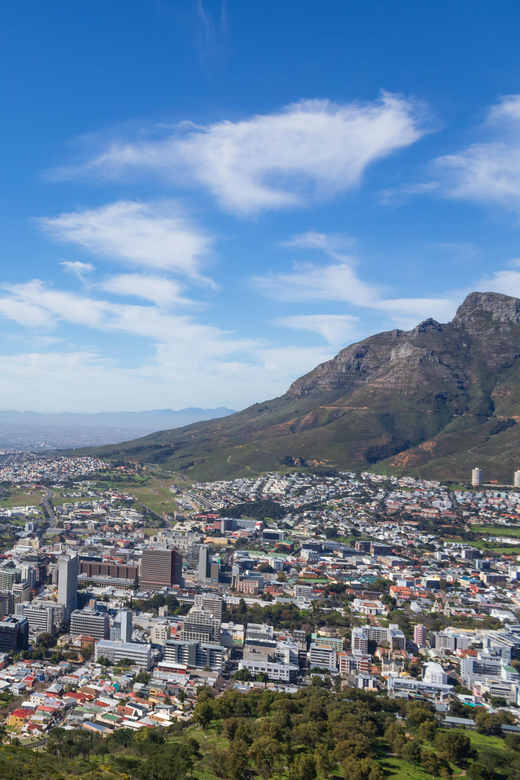 Cape Town: Private Full Day City Tour - Inclusions