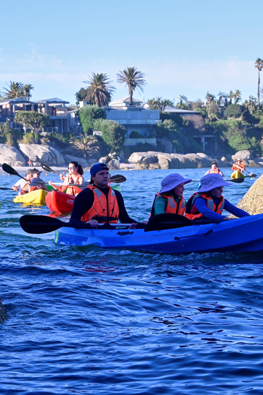 Cape Town: Private Guided Kayak Tour - Inclusions and Meeting Point