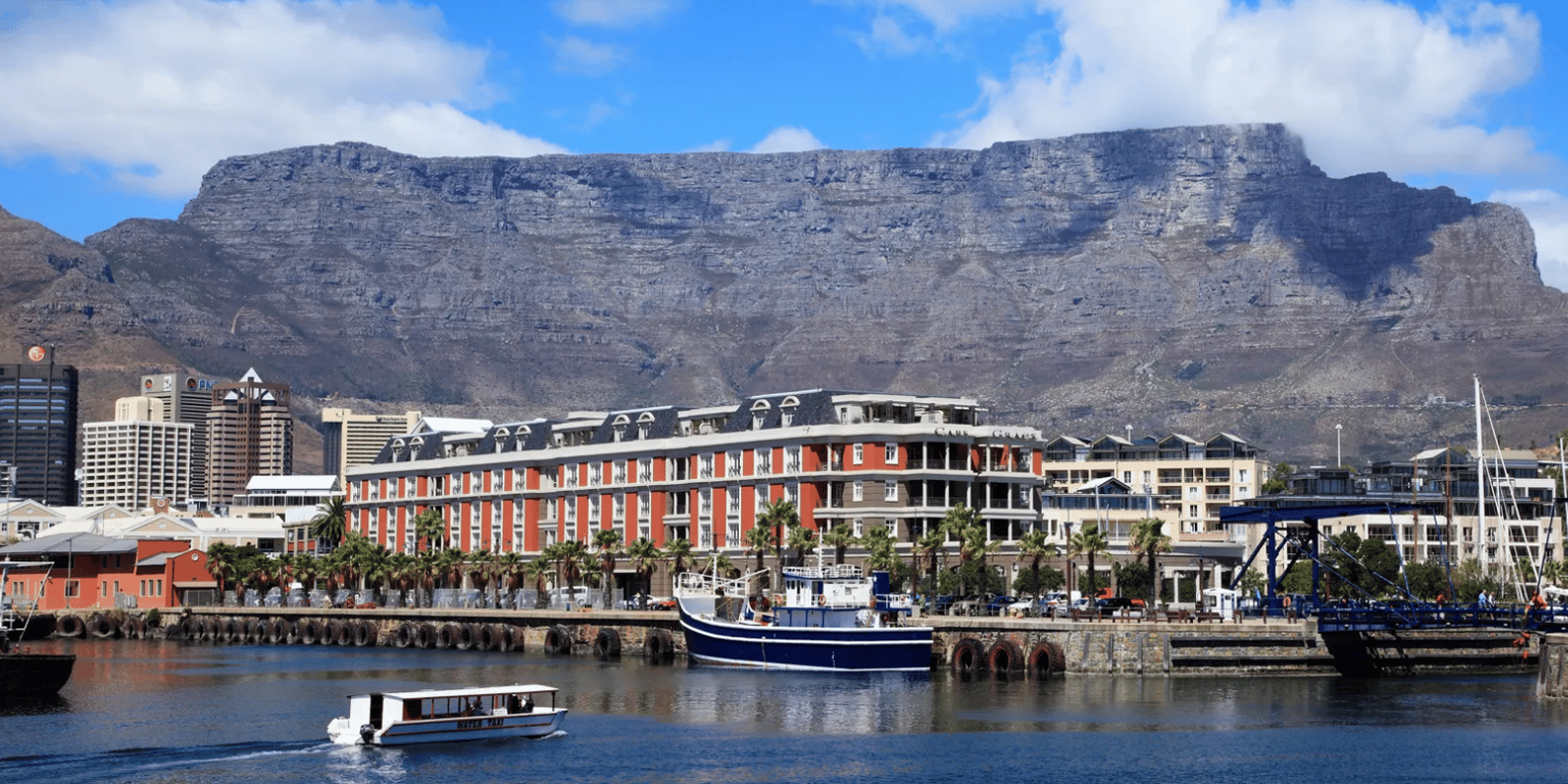 Cape Town: Table Mountain Half Day Private Tour - Photographic Opportunities