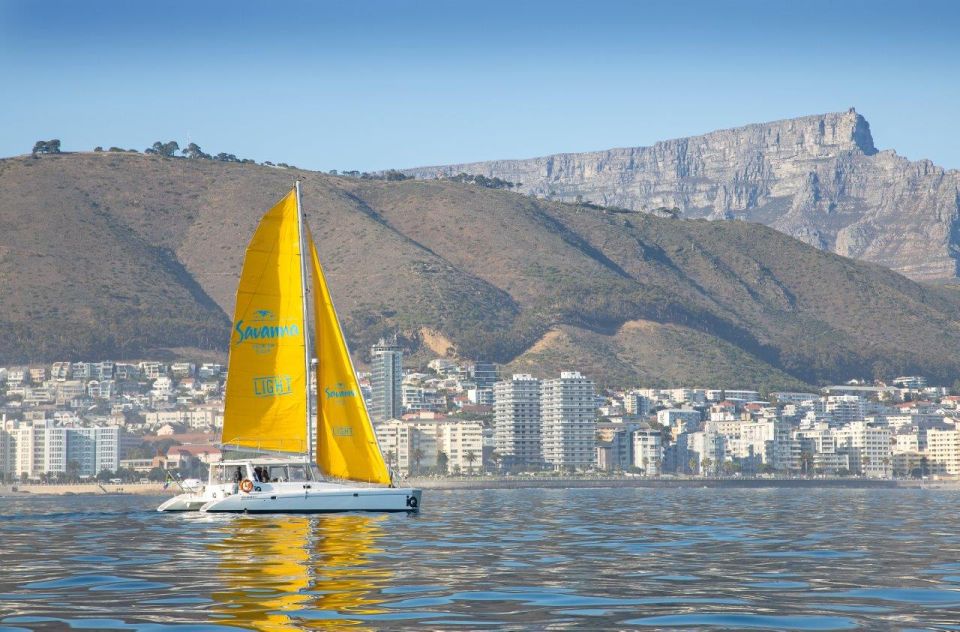 Cape Town: V&A Waterfront Champagne Cruise - Meeting Point and Arrival