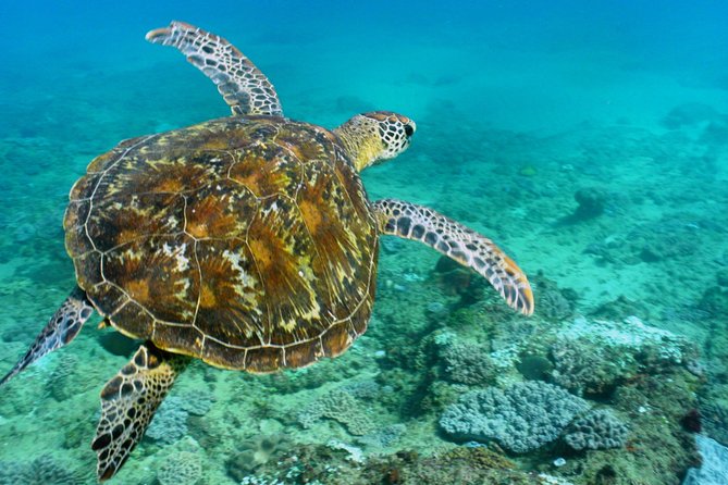 Cape Vidal Snorkeling Adventure - Meeting and Pickup Details