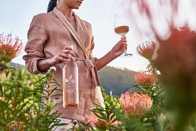 Cape Winelands Explore Full Day Tour With Private Transfer - Best Time to Visit