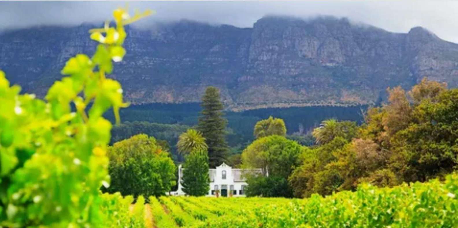 Cape Winelands Full Day Tour From Cape Town - Spier Wine Farm