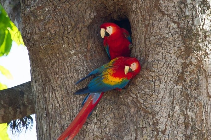 Carara National Park - Tour Inclusions