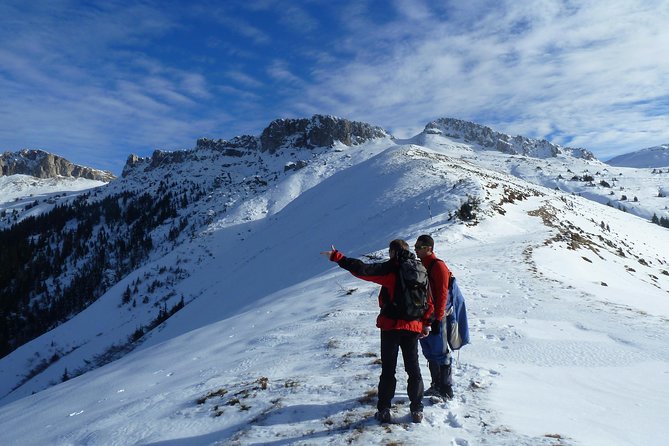 Carpathians in Romania: Bucegi Natural Park With Native Spanish Guide. - Immersed in the Carpathian Wilderness
