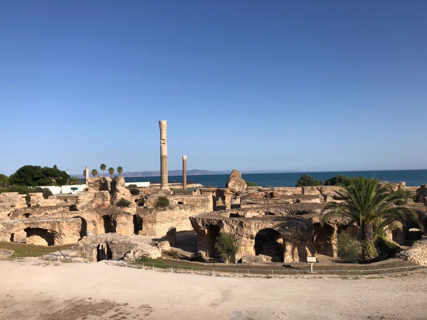 Carthage: Guided Bike Tour of the Archaeological Site - Customer Feedback