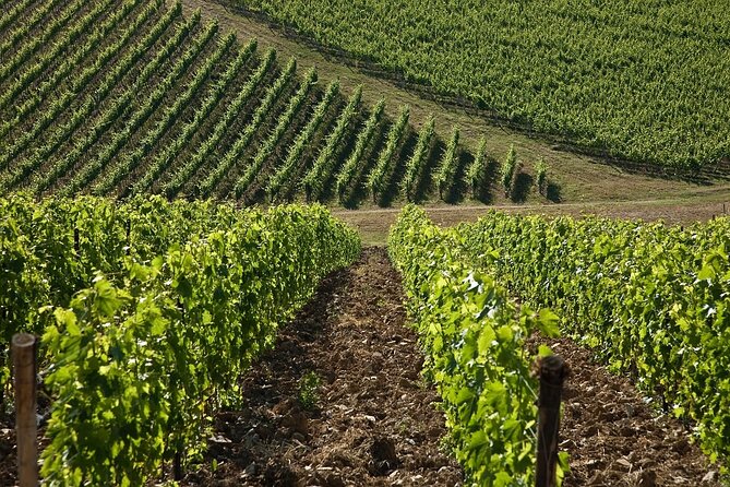 Casa Emma Wine Tasting: A Complete Review - Accessibility and Inclusions