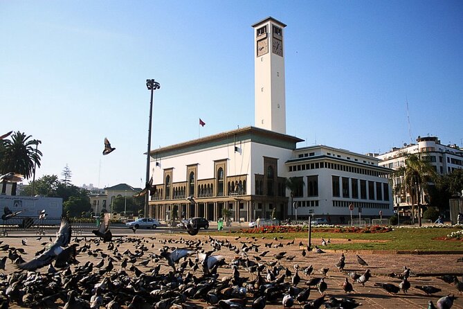 Casablanca Airport Layover Tour With Return to Airport or Hotel Dropoff - Customer Experiences