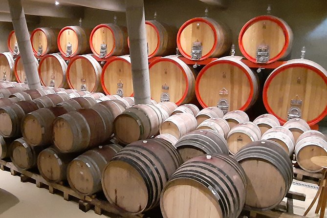 Casablanca Wine Innovation Tour: Bodegas RE and Casas Del Bosque - Accessibility and Logistics