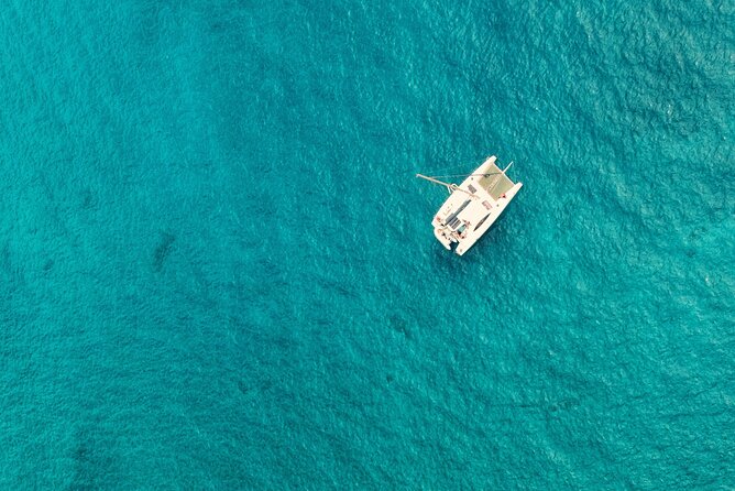 Catamaran Half Day - Beautiful Day on the Atlantic Ocean - Activities to Enjoy on Board