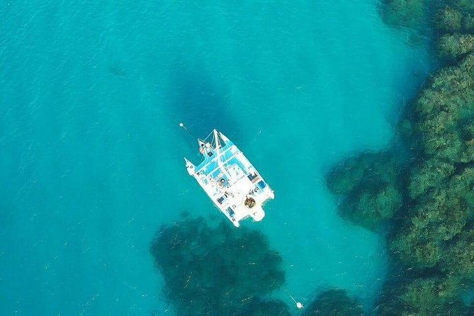 Catamaran, Snorkeling & Dunns River Falls - Catamaran Cruise Experience