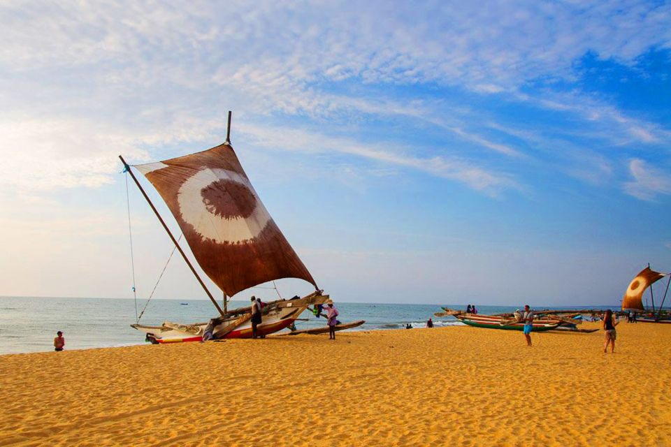 Catamaran Sunset Sailing in Mount Lavinia - Location and Environment